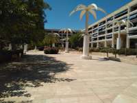 Venta - Piso - apartamento - A-GUARDAMAR DEL SEGURA - Plaza Porticada