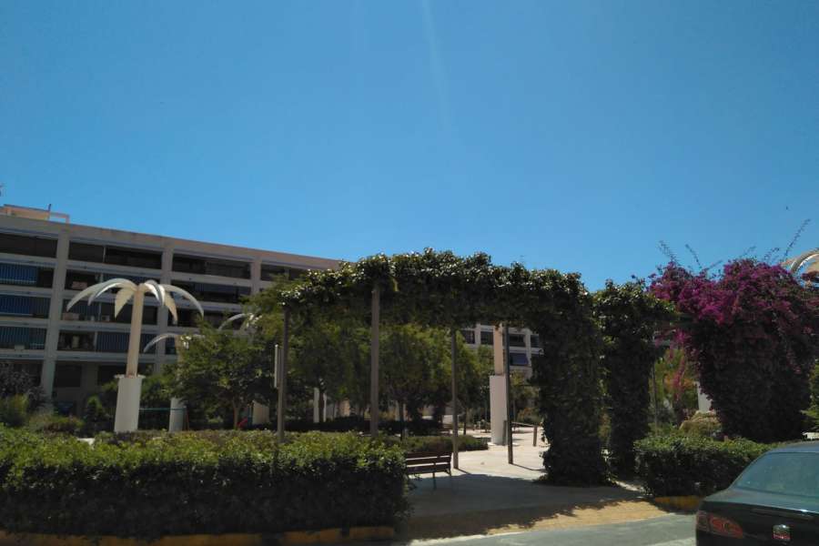 Venta - Piso - apartamento - A-GUARDAMAR DEL SEGURA - Plaza Porticada