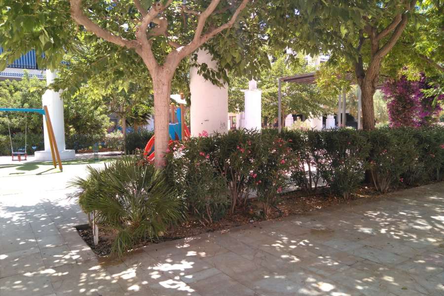 Venta - Piso - apartamento - A-GUARDAMAR DEL SEGURA - Plaza Porticada