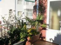 Venta - Atico - A-ALICANTE CAPITAL - CENTRO