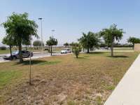 Продажа - Бунгало/Taунхаус - A-TORREVIEJA - La Siesta