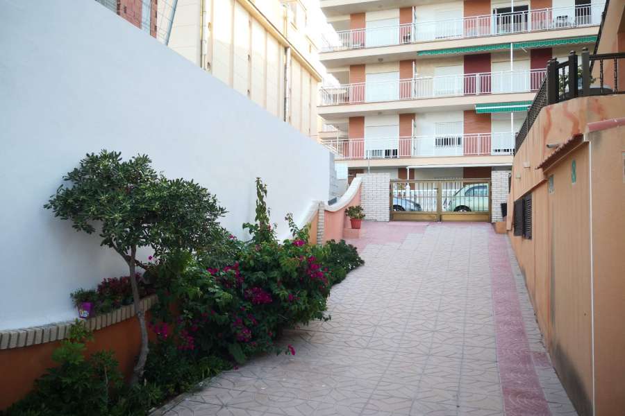 Venta - Piso - apartamento - A-GUARDAMAR DEL SEGURA - Cervantes-Playa