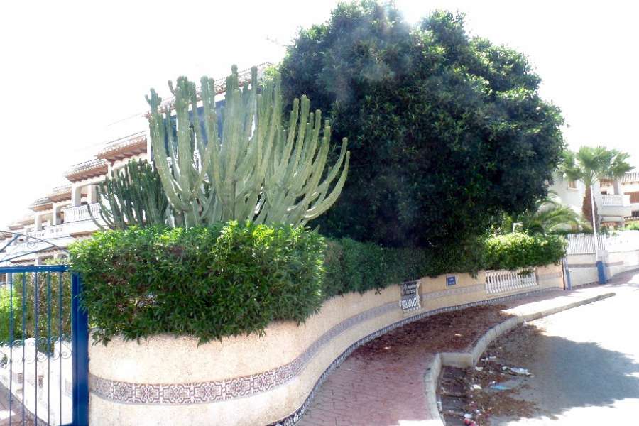 Venta - Bungalow - Chalet - adosado - A-GUARDAMAR DEL SEGURA - Sur (rotonda entrada)