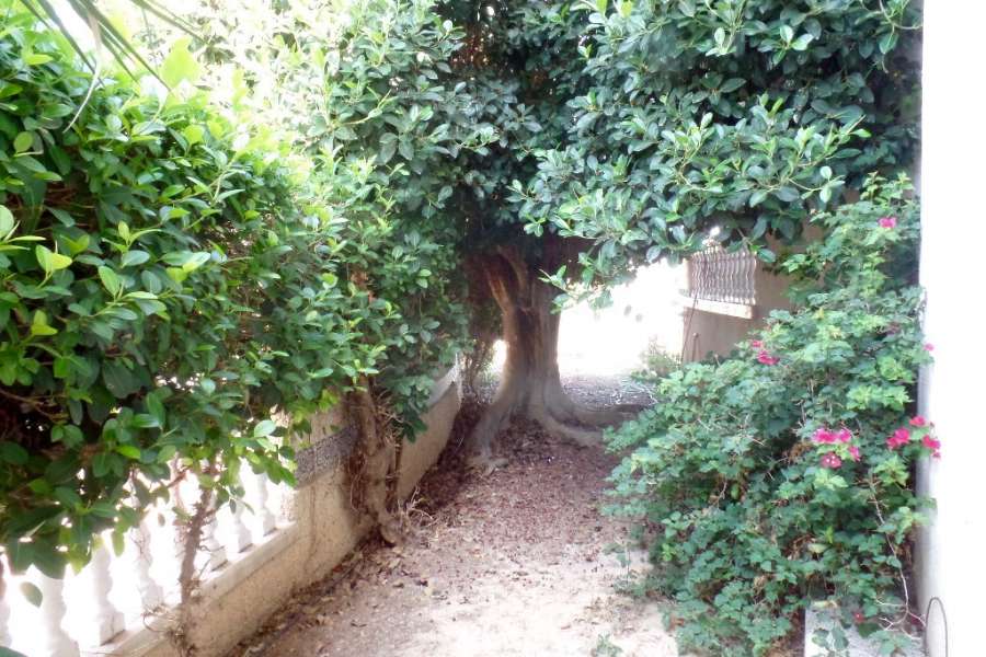 Venta - Bungalow - Chalet - adosado - A-GUARDAMAR DEL SEGURA - Sur (rotonda entrada)