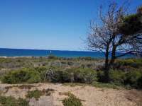 Venta - Bungalow - Chalet - adosado - A-GUARDAMAR DEL SEGURA - Sur (rotonda entrada)