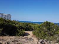 Venta - Bungalow - Chalet - adosado - A-GUARDAMAR DEL SEGURA - Sur (rotonda entrada)