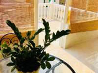 Venta - Chalet - Villa - Benferri - Benfis Park