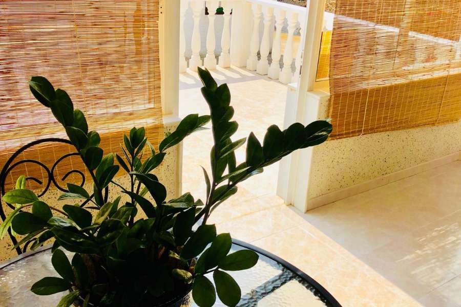 Venta - Chalet - Villa - Benferri - Benfis Park