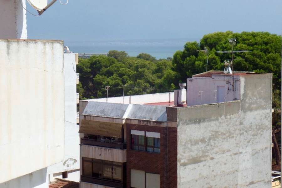 Venta - Piso - apartamento - A-GUARDAMAR DEL SEGURA - Pueblo 