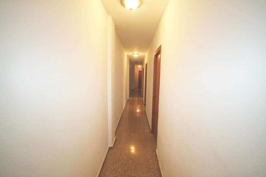 Venta - Piso - apartamento - A-ALICANTE CAPITAL - CENTRO