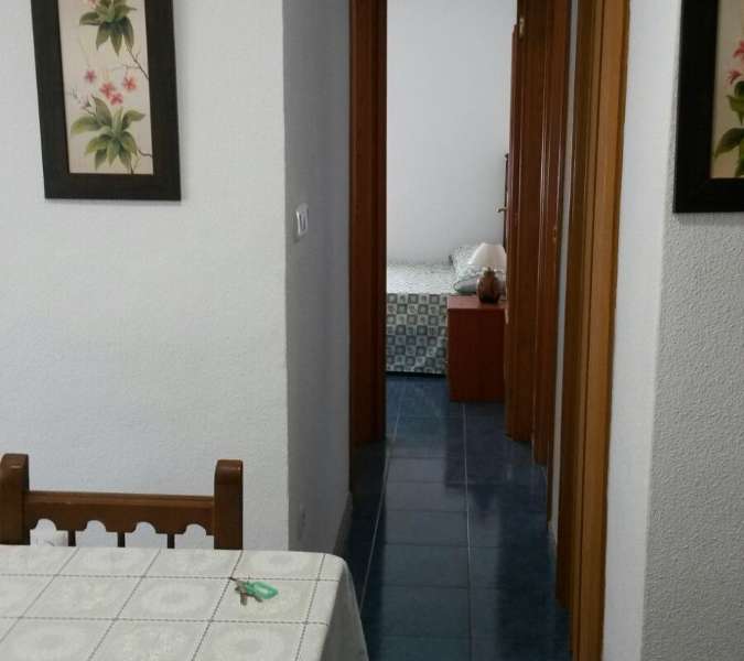 Venta - Piso - apartamento - Elche - ARENALES DEL SOL