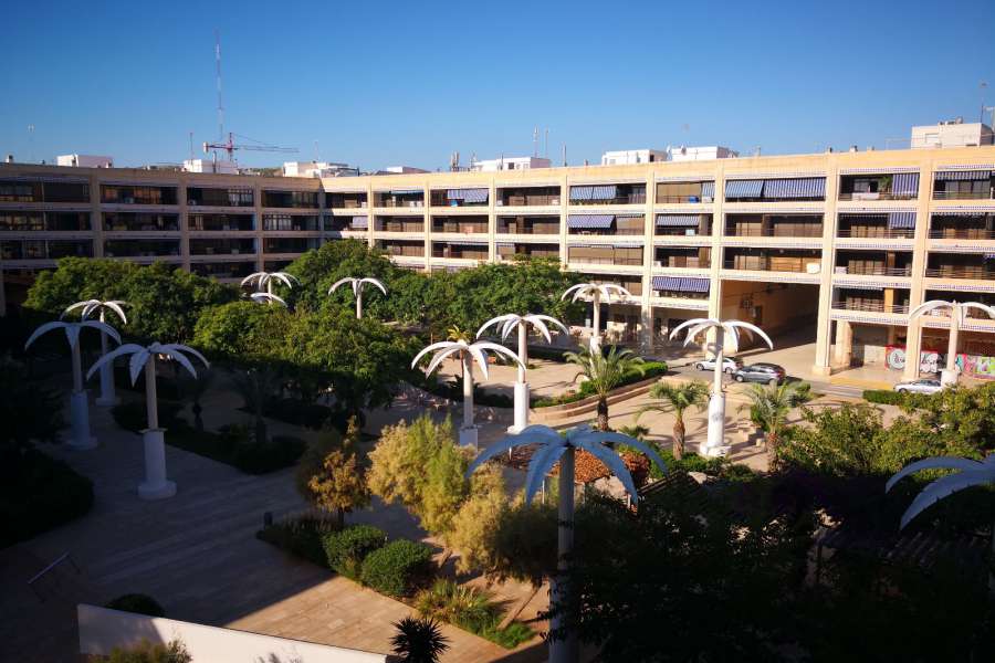 Venta - Piso - apartamento - A-GUARDAMAR DEL SEGURA - Plaza Porticada