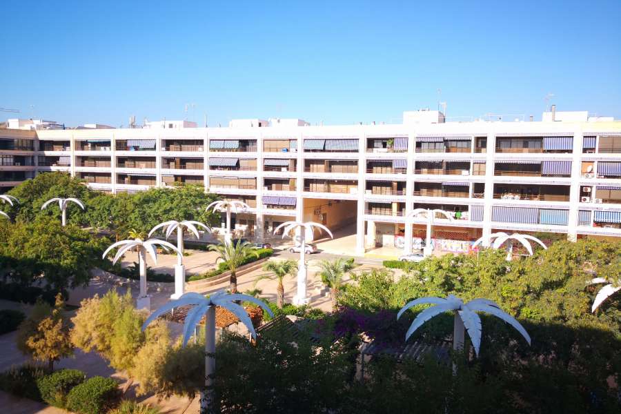 Venta - Piso - apartamento - A-GUARDAMAR DEL SEGURA - Plaza Porticada