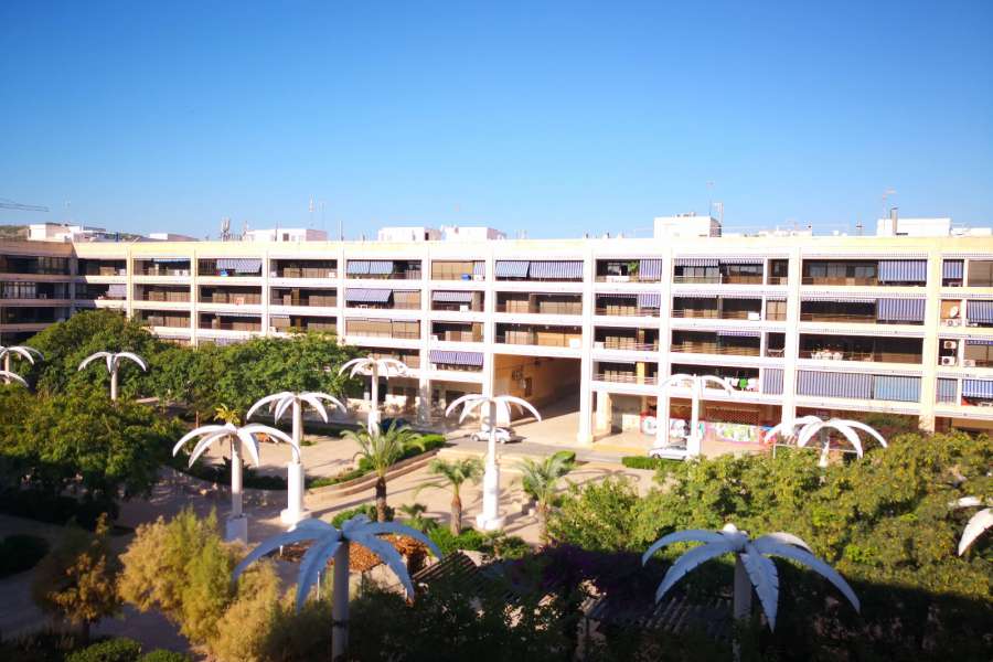 Venta - Piso - apartamento - A-GUARDAMAR DEL SEGURA - Plaza Porticada