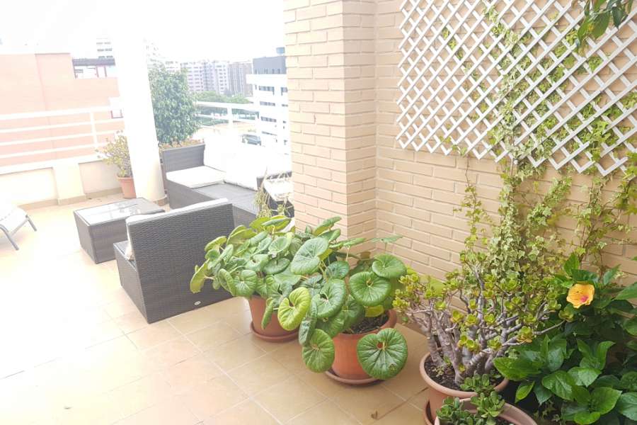 Venta - Atico - A-ALICANTE CAPITAL - SAN JUAN PLAYA-CABO HUERTAS