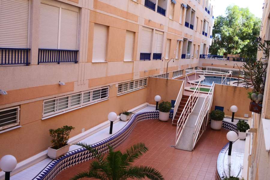 Venta - Piso - apartamento - A-GUARDAMAR DEL SEGURA - Mercadona (300m playa)