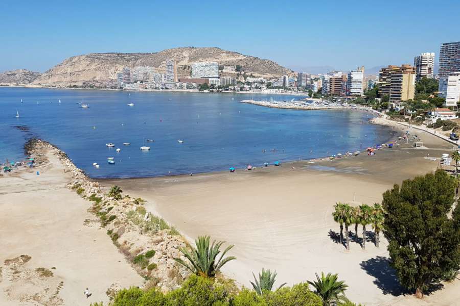 Alquiler - Piso - apartamento - A-ALICANTE CAPITAL - SAN JUAN PLAYA-CABO HUERTAS
