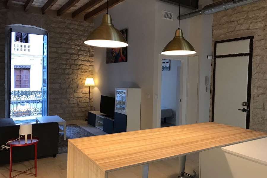 Alquiler - Piso - apartamento - A-ALICANTE CAPITAL - CENTRO