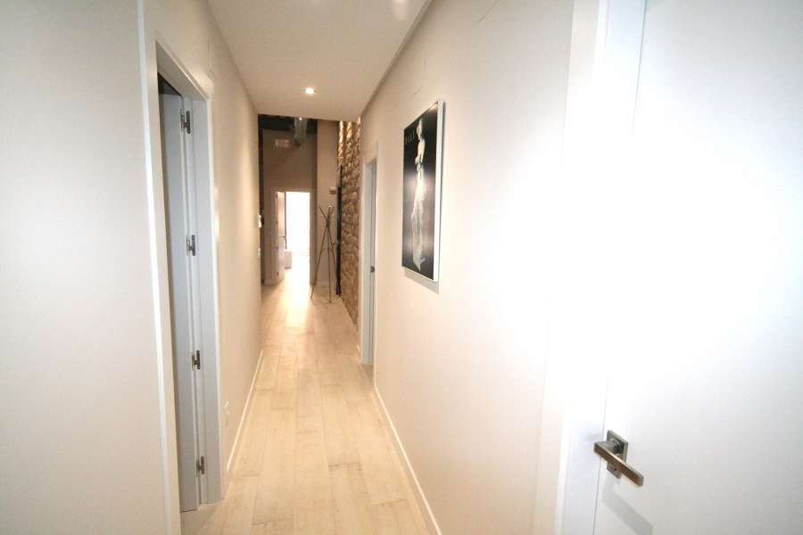 Alquiler - Piso - apartamento - A-ALICANTE CAPITAL - CENTRO