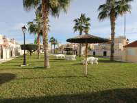 Venta - Piso - apartamento - A-ORIHUELA COSTA - La Zenia