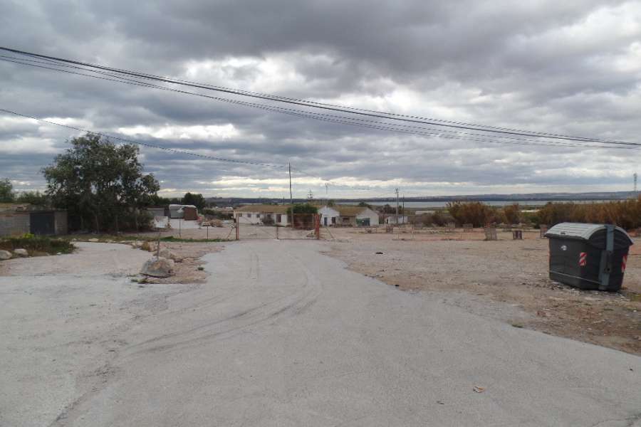 Vente - Estate - A-GUARDAMAR DEL SEGURA - Campo de Guardamar