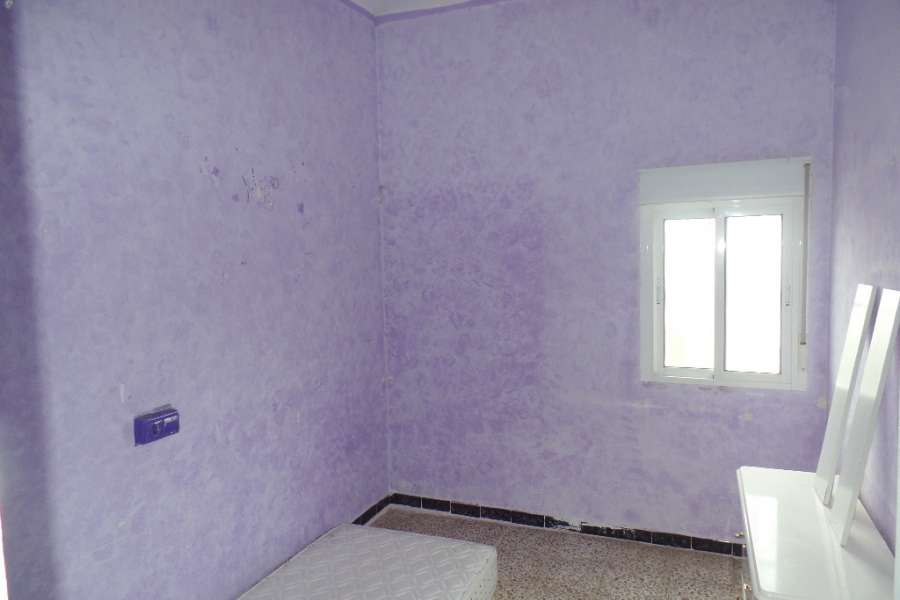 Vente - Estate - A-GUARDAMAR DEL SEGURA - Campo de Guardamar