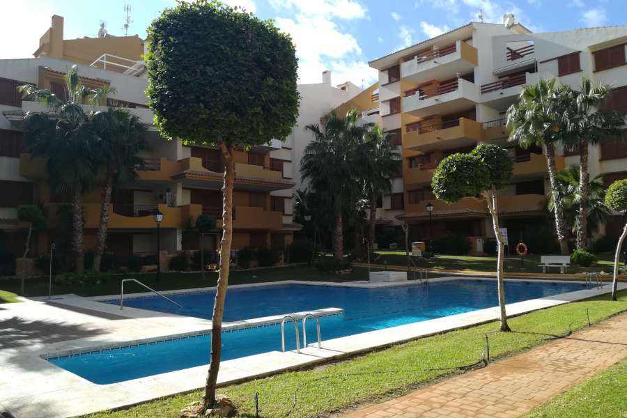 Venta - Piso - apartamento - A-TORREVIEJA - Punta Prima