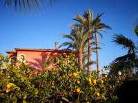 Venta - Chalet - Villa - Elche - VALVERDE TORRES DE GAITAN