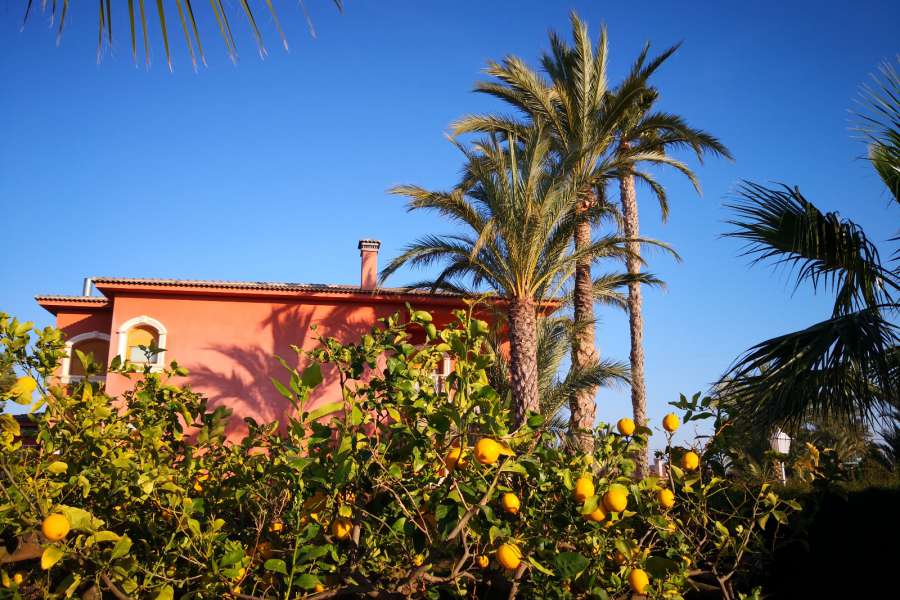 Venta - Chalet - Villa - Elche - VALVERDE TORRES DE GAITAN