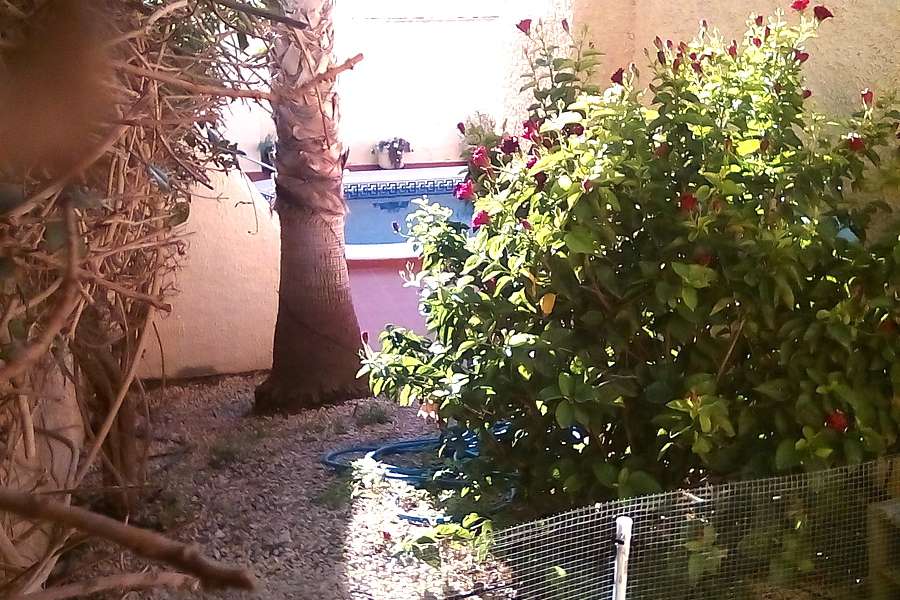 Venta - Chalet - Villa - Rojales - Ciudad Quesada