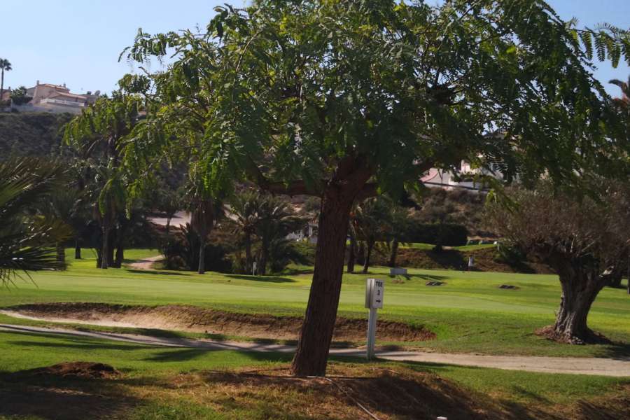 Venta - Chalet - Villa - Rojales - Ciudad Quesada