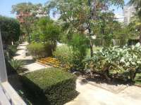 Venta - Bungalow - Chalet - adosado - A-ALICANTE CAPITAL - SAN JUAN PLAYA-CABO HUERTAS