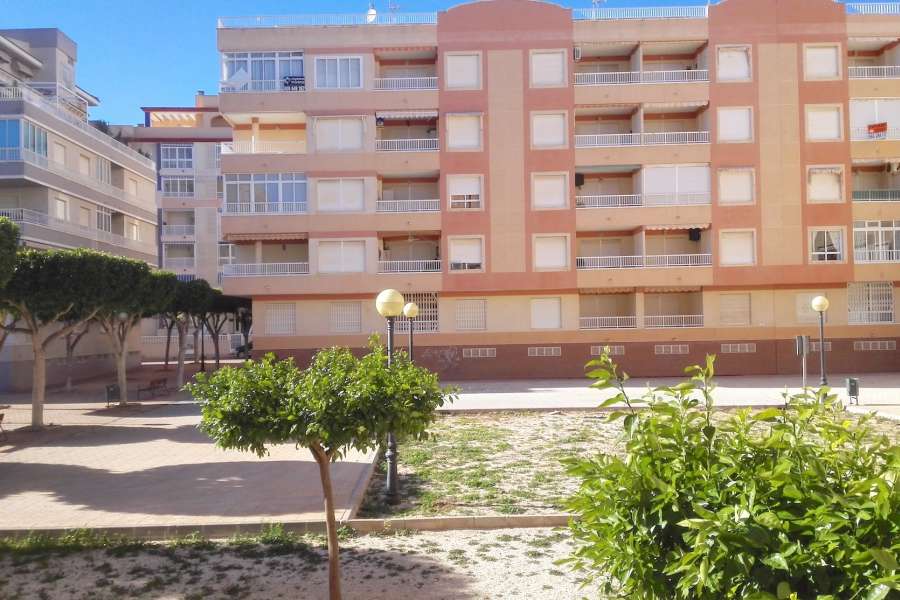Venta - Planta Baja - A-GUARDAMAR DEL SEGURA - Mercadona (300m playa)