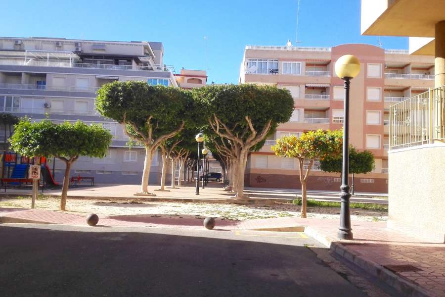 Venta - Planta Baja - A-GUARDAMAR DEL SEGURA - Mercadona (300m playa)