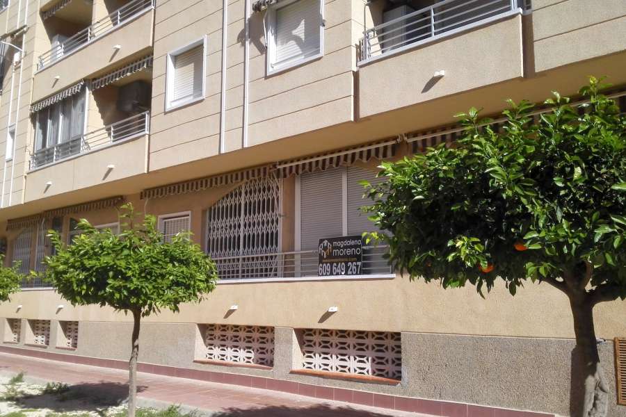 Venta - Planta Baja - A-GUARDAMAR DEL SEGURA - Mercadona (300m playa)