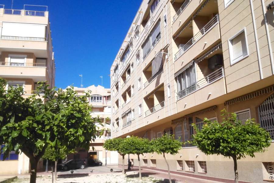 Venta - Planta Baja - A-GUARDAMAR DEL SEGURA - Mercadona (300m playa)