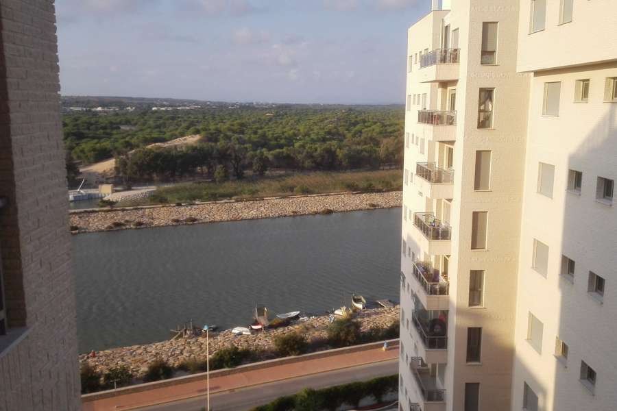 Venta - Piso - apartamento - A-GUARDAMAR DEL SEGURA - Puerto Deportivo