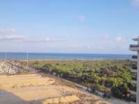 Venta - Piso - apartamento - A-GUARDAMAR DEL SEGURA - Puerto Deportivo