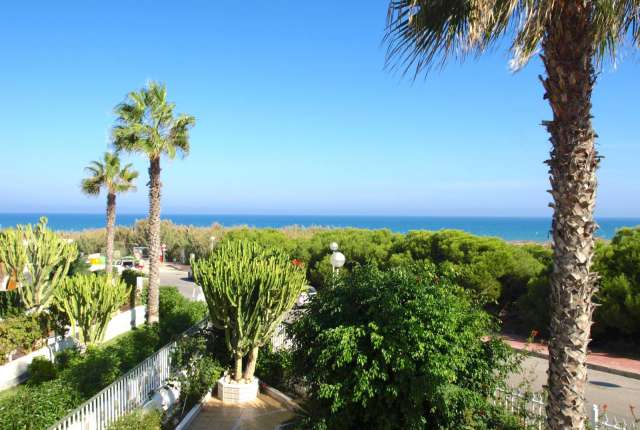 Bungalow - Chalet - adosado - Venta - A-GUARDAMAR DEL SEGURA - Sur (rotonda entrada)