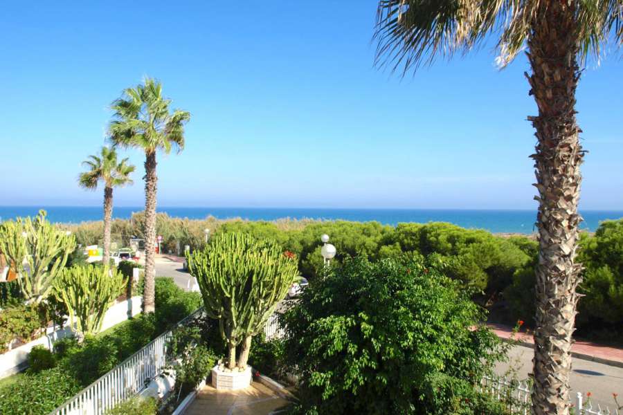 Venta - Bungalow - Chalet - adosado - A-GUARDAMAR DEL SEGURA - Sur (rotonda entrada)