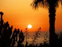 Venta - Bungalow - Chalet - adosado - A-GUARDAMAR DEL SEGURA - Sur (rotonda entrada)