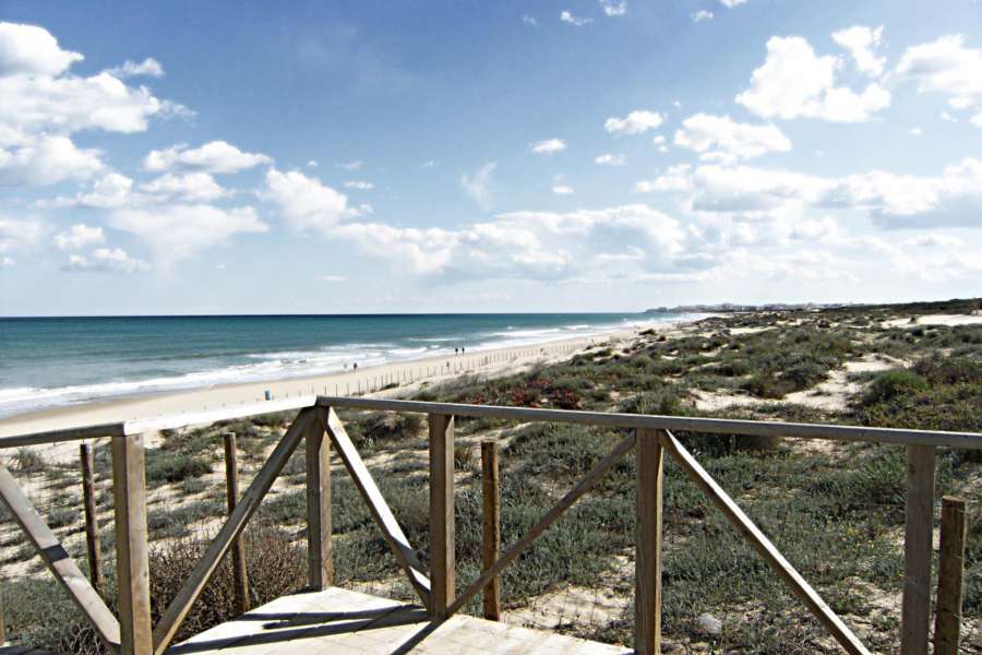 Venta - Bungalow - Chalet - adosado - A-GUARDAMAR DEL SEGURA - Sur (rotonda entrada)