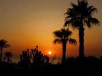 Venta - Bungalow - Chalet - adosado - A-GUARDAMAR DEL SEGURA - Sur (rotonda entrada)