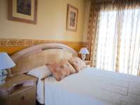 Продажа - Пентхауз/Атико - A-GUARDAMAR DEL SEGURA - Plaza Porticada