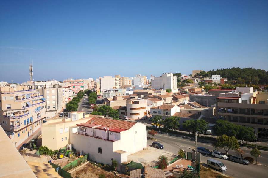 Venta - Piso - apartamento - A-GUARDAMAR DEL SEGURA - Puerto MasyMas