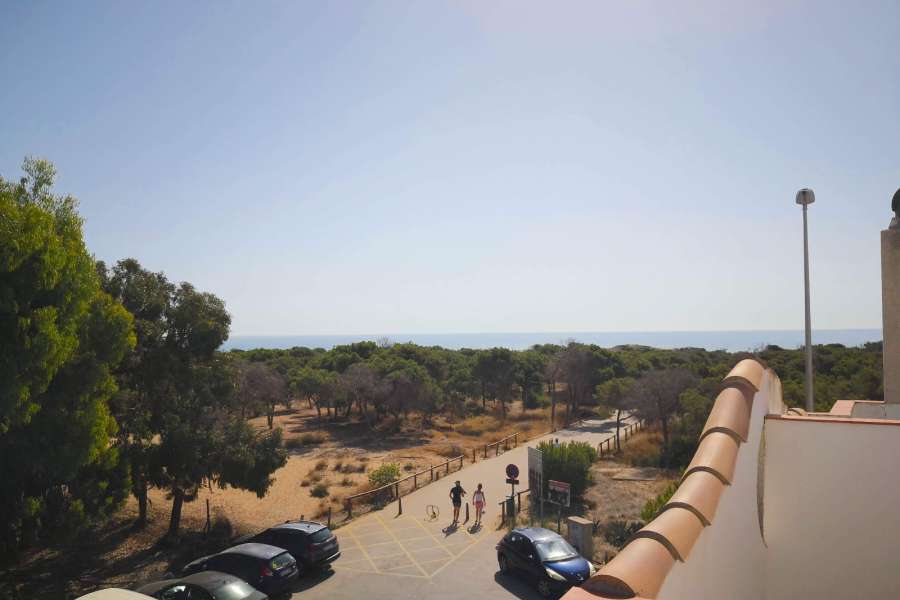 Venta - Bungalow - Chalet - adosado - A-GUARDAMAR DEL SEGURA - Sur (rotonda entrada)