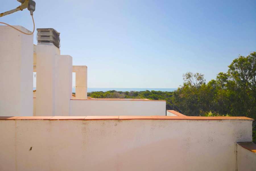 Venta - Bungalow - Chalet - adosado - A-GUARDAMAR DEL SEGURA - Sur (rotonda entrada)