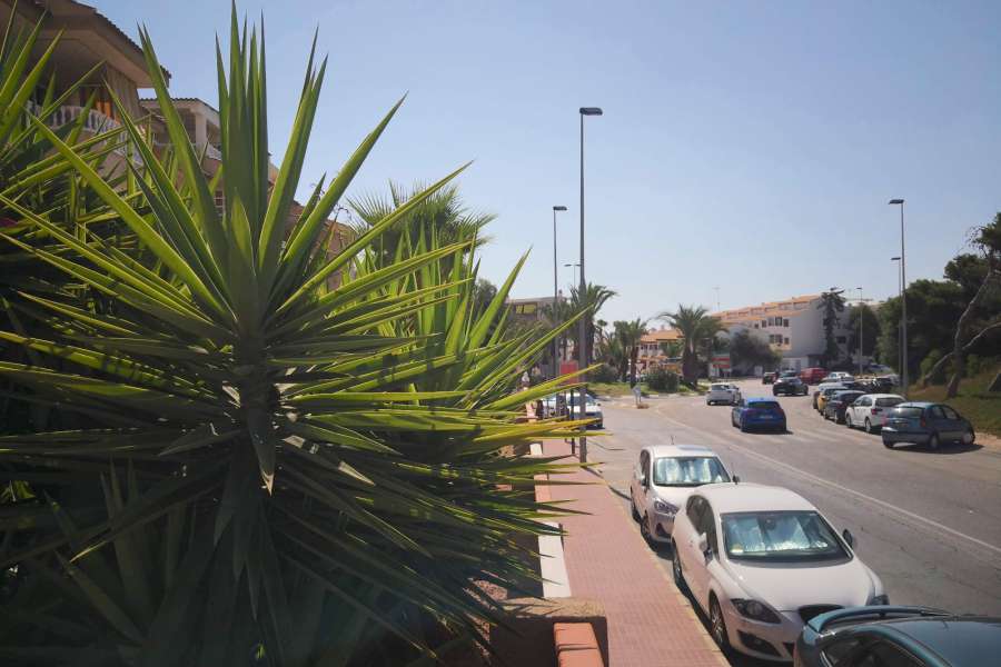 Venta - Planta Baja - A-GUARDAMAR DEL SEGURA - Sur (rotonda entrada)