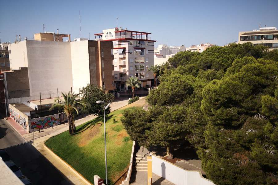Venta - Piso - apartamento - A-GUARDAMAR DEL SEGURA - Pueblo 