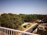 Venta - Piso - apartamento - A-GUARDAMAR DEL SEGURA - Pueblo 